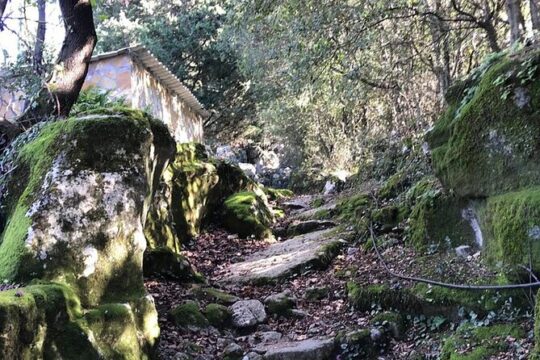 Syvros, Greece Guided Hiking Experience
