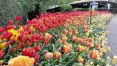 Wonderful Trip