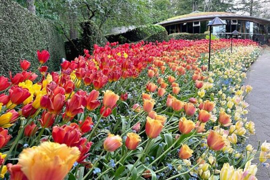 Victoria Butchart Gardens and City Private Luxury Tour