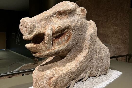 Day Trip to Gobeklitepe with Flight from İstanbul