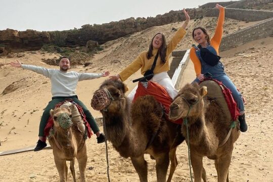 All inclusive luxury private Tangier Day Tour from Tarifa/Algecir