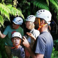 Private & Custom Tours