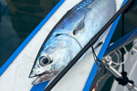 Fishing Trips in Limassol Marina