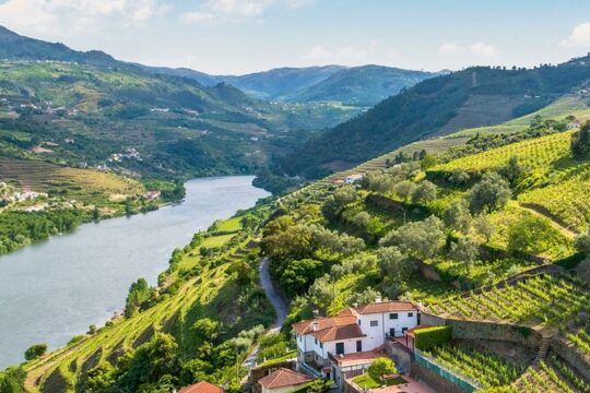Portugal and Spain 9 Days Douro Valley River Cruise