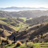 Hiking & Camping