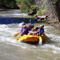 Cruises, Sailing & Water Tours
