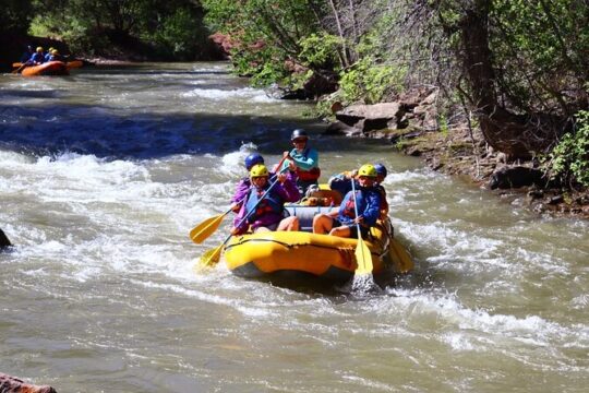 Half day Rafting Tour in Telluride Lower San Miguel River