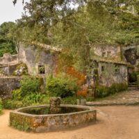 Sightseeing Tickets & Passes