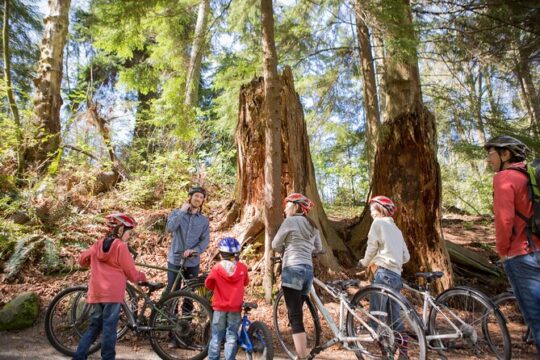 Stanley Park Vancouver Highlights Family Cycling Tour