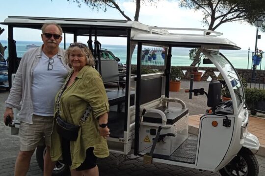 Tuk Tuk Private Guided Tour of Malaga by Beach and Centre
