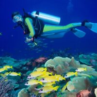 Snorkeling