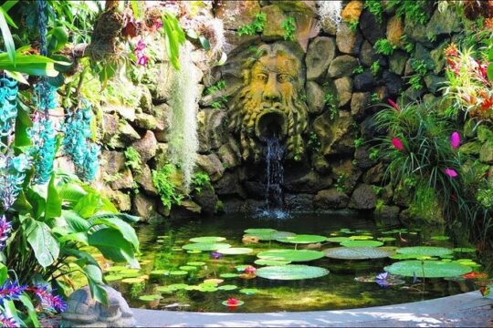 Tour Giardini la Mortella and village of Sant'Angelo and Bay of Sorgeto