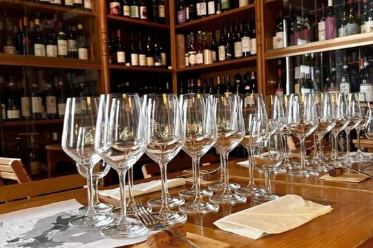 Authentic experience of 5 wines in Historical Wine Shop in Rome Center