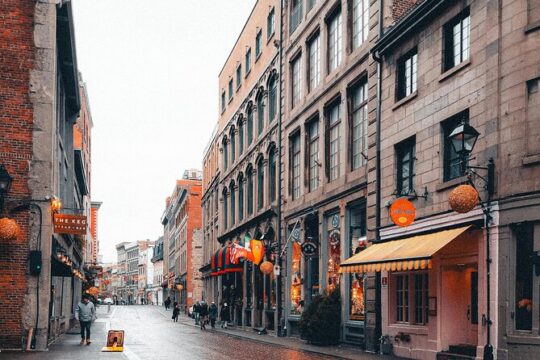 Montreal City Highlights 3 Hour Walking Tour | Gratuity-Based