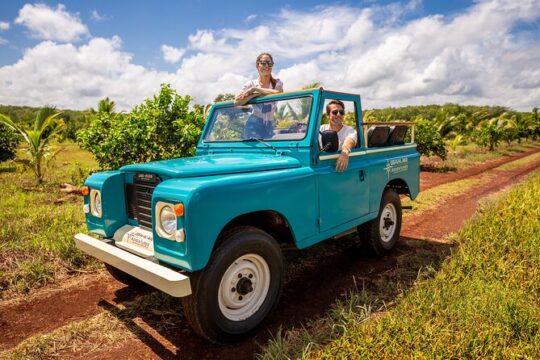 Private Tour Uxmal Vintage Land Rover Adventure with Mayan Brunch