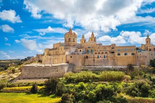 Private Day Tour in Malta