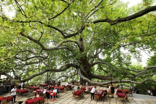 Bursa and Uludağ Tour from İstanbul with Cable Car and Lunch