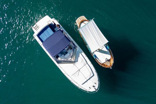 Private half-day tour of the island of Ischia or Procida