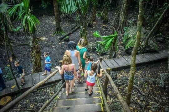 Private Jeep Cozumel Snorkeling Adventure in Jade Cave and Lunch