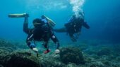 Wonderful try dive with Giulia and Hannah