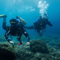 Scuba Diving