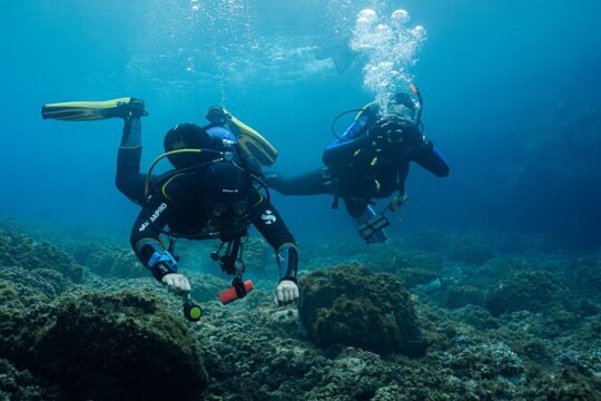 Explore the Mediterranean by Two Guided Dives in Small Groups