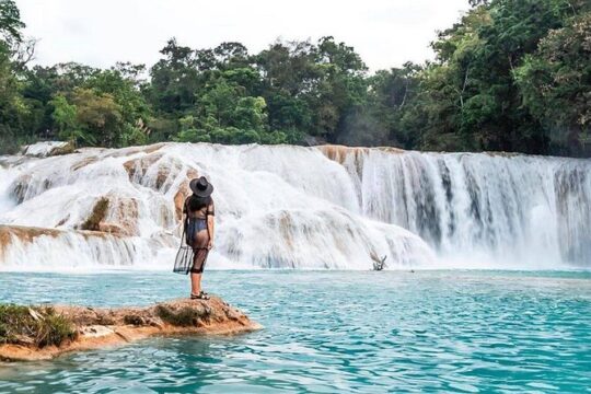 Tour Blue Waterfalls MisolHa and Palenque Waterfall
