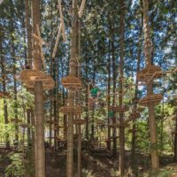 Ziplines