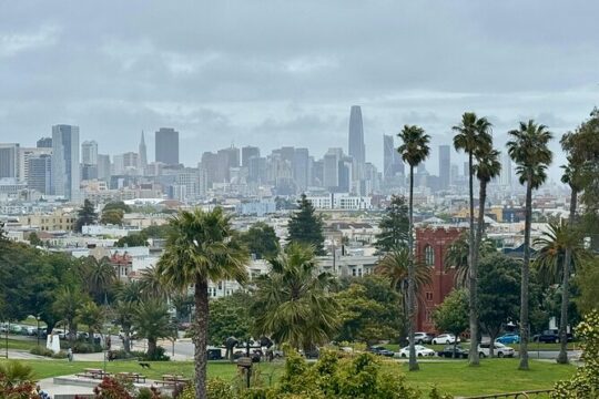 3hr Private SF City Tour In Electric VW Van