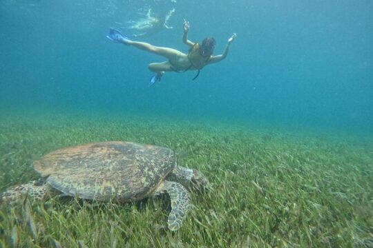 Catamaran with Snorkeling Free Bar and Free Time in Isla Mujeres