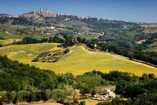 Full day tour Florence to Siena & Chianti
