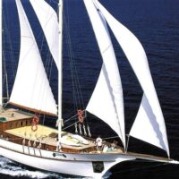 Brunch Cruises