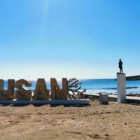 Ports of Call Tours