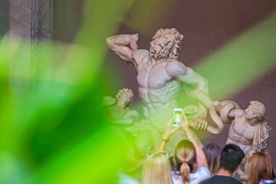 Vatican Museums and Sistine Chapel Guided Tour Fast Track Access