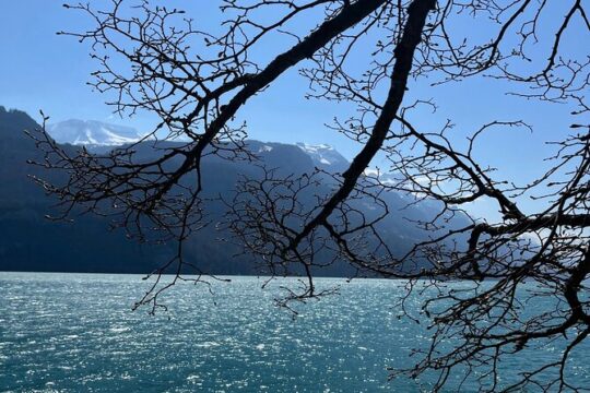 Interlaken Brienz Lauterbrunnen Blausee Tour for 1 to 8 Pax