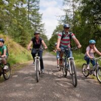 Bike Rentals