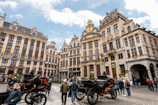 Tour Contrasts of Brussels excursion to Leuven