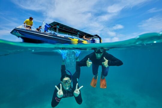 Cairns Snorkel Tour - Mid Morning Departure