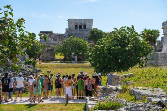 Private Tulum Ruins and Swim with Turtles
