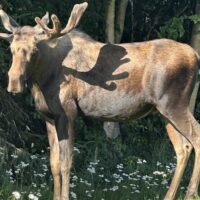 Nature & Wildlife