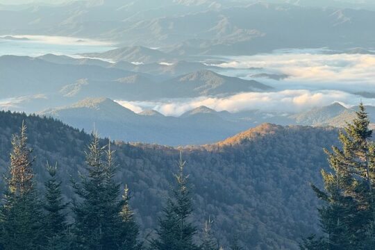 Kuwohi Mountain Great Smoky Mountains Tour