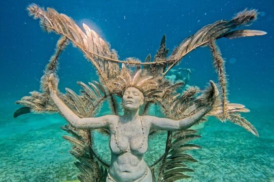 Sculpture Snorkeling Adventure