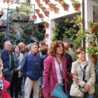 Weddings & Honeymoons