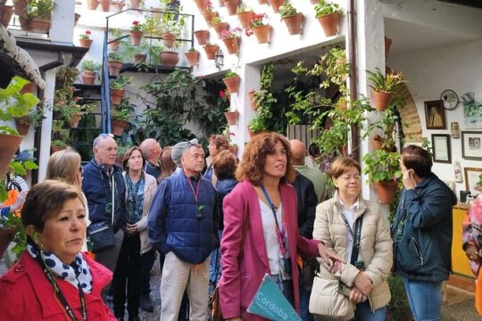 Guided Tour of the Cordoba Patio Competition