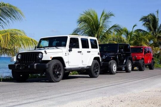 Rent Jeep 4 Doors with Air Conditioning Cozumel Excursion