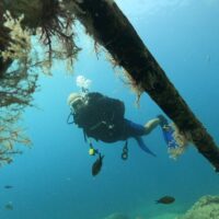 Snorkeling