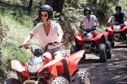 Quad Biking, Koalas and Kangaroos - Private Tour