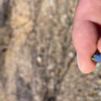 Archaeology Tours