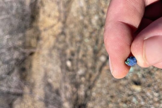 Night time fluorescent Rockhounding Tour