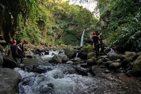 Adventure Hike Discovering São Miguel's Hidden Waterfalls